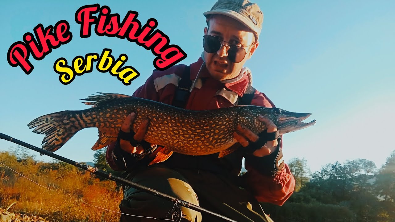 Pike in October! Hucho lure for a big pike