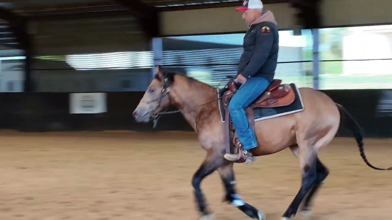 Trying Not To Get Bucked Off a 2yr Old Stallion