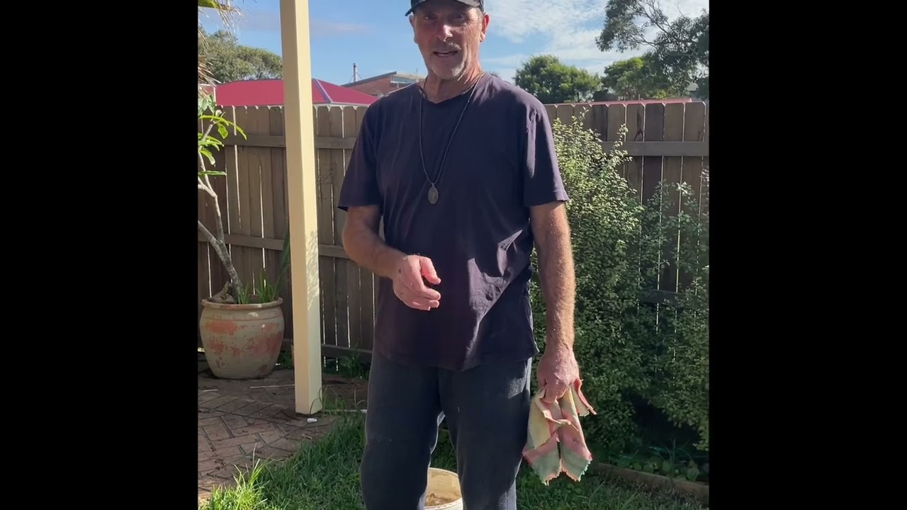 DIY how to unblock flooded stormwater pipe