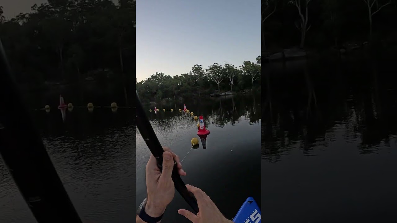 Nice view on the Lake Parramatta