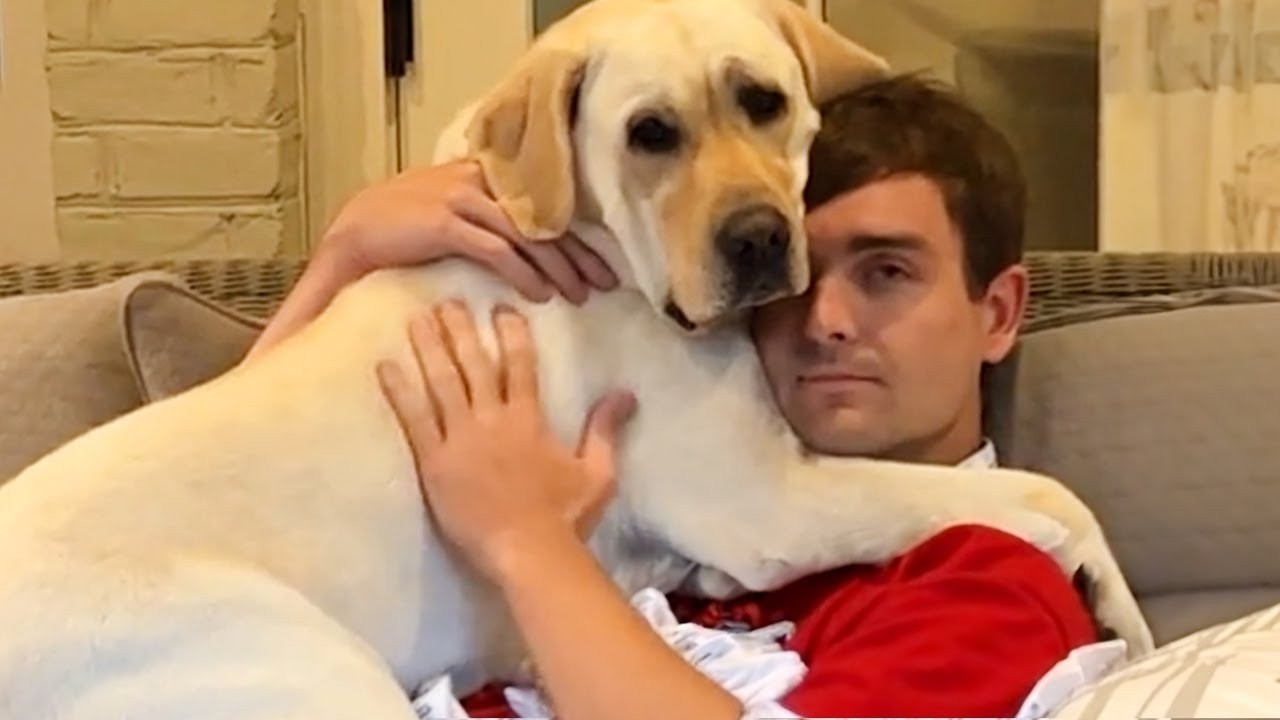 When my dog loves my boyfriend more than me 😂
