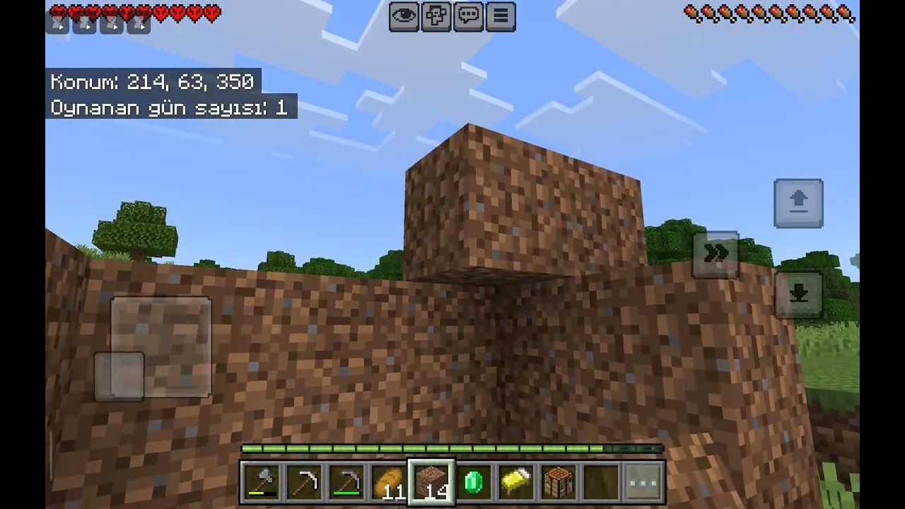 Minecraft 100 hayatta kalmaya çalıştım