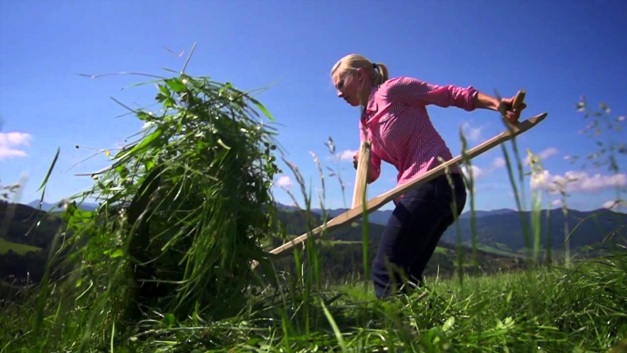 Krone DuoGrip 2012
