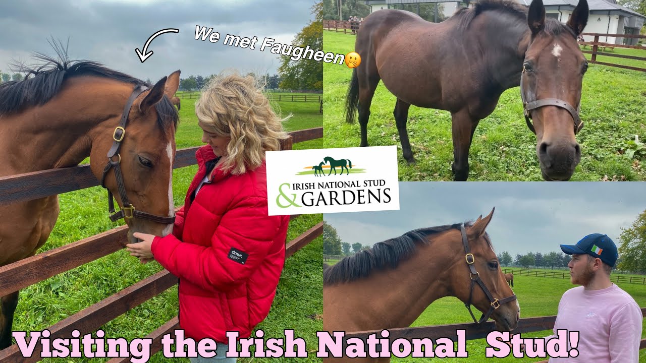 VISITING THE IRISH NATIONAL STUD | Meeting some living legends and shopping at TRI Equestrian!!