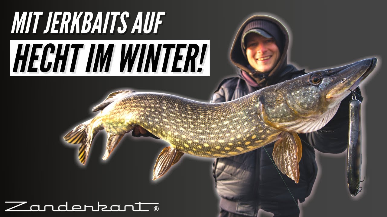 Hechtangeln im Winter ganz flach: So setzt du einen Jerkbait richtig ein