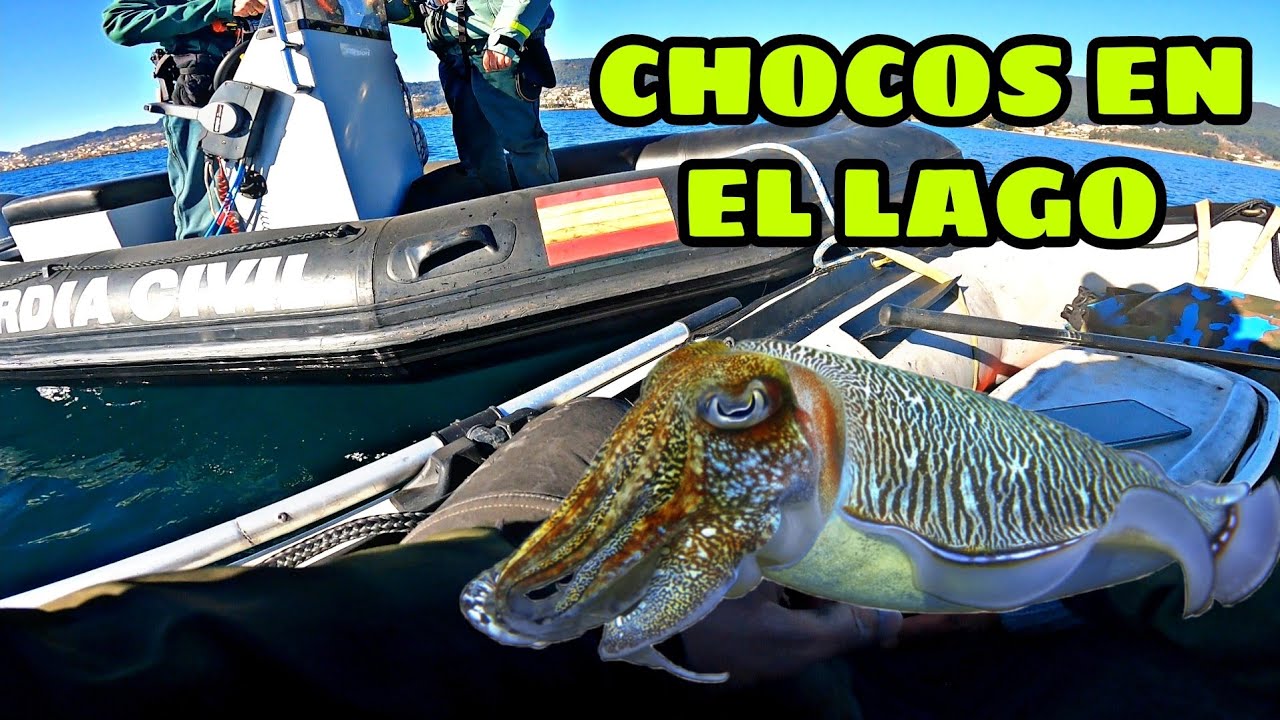 PESCA DE CHOCOS DESDE EMBARCACION 🛶 EGING EN GALICIA