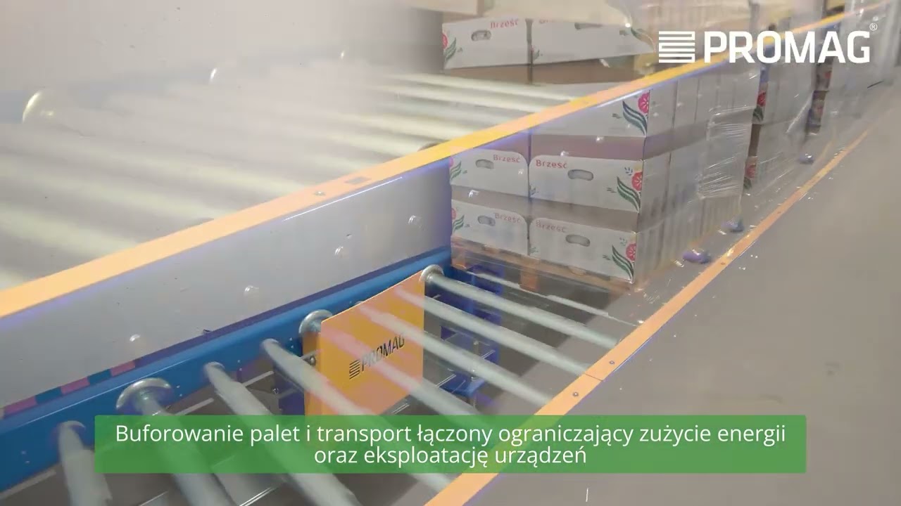 Automatyczny system transportu, zrobotyzowanej paletyzacji, składowania dla firmy BRZEŚĆ SIPA