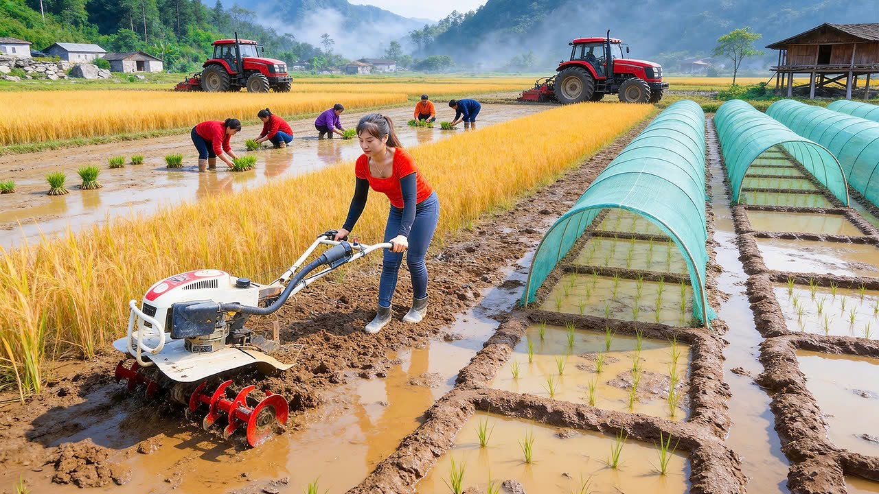 Plowing Soil and Sowing Seeds for the New Year Rice Crop | Spring Farm Life