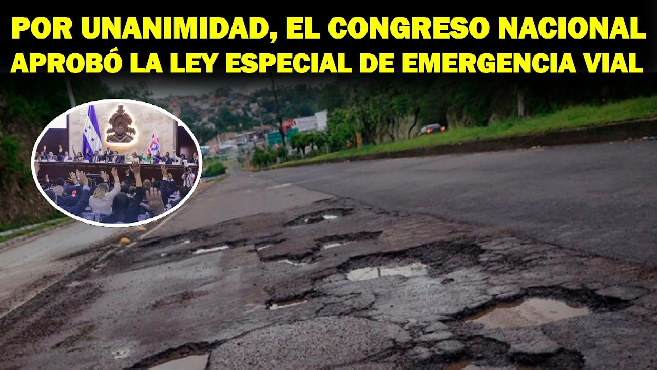 Política, Gobierno y Estado 11 DE FEBRERO DEL 2026