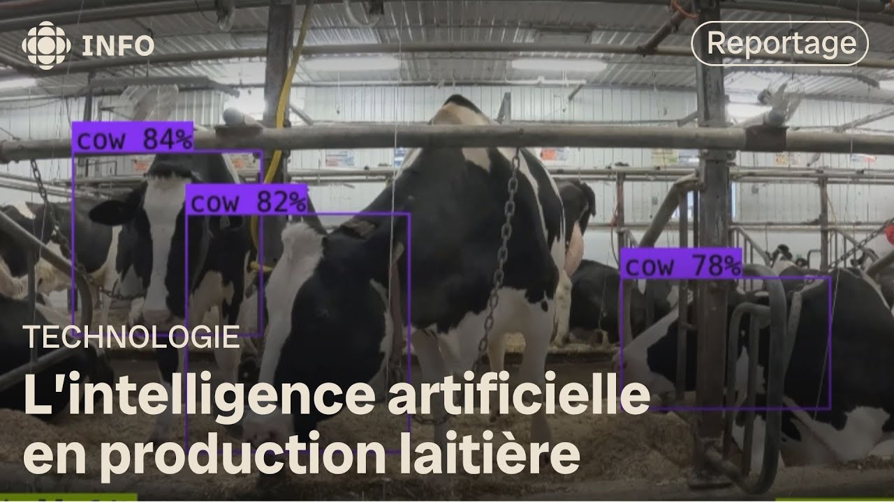 L'intelligence artificielle en production laiti&egrave;re | La semaine verte