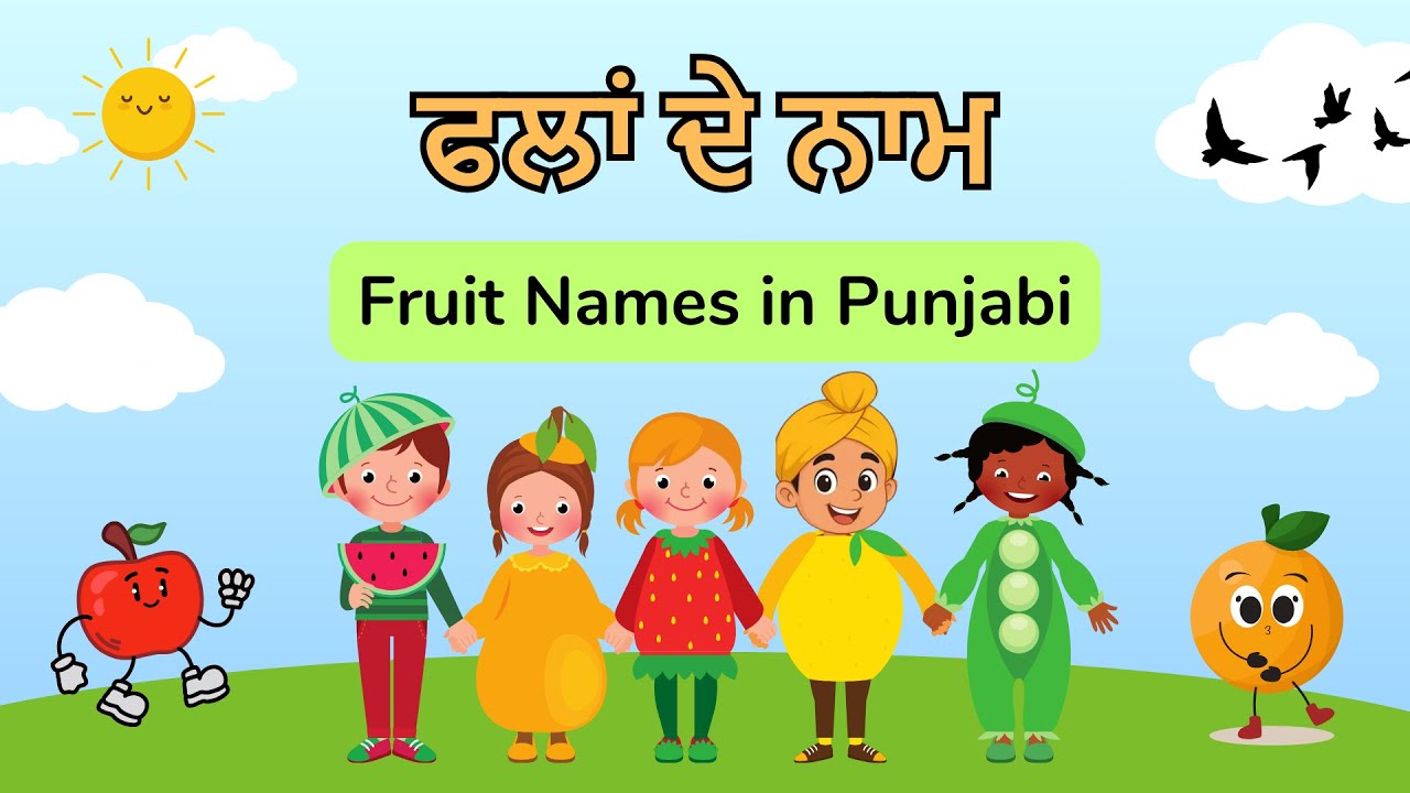 Learn Fruit names in Punjabi | Punjabi Vocabulary for Beginners
