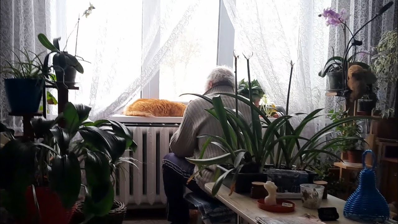 Хто поїхав,хто пішов? Зимові сільські будні між поранками))))