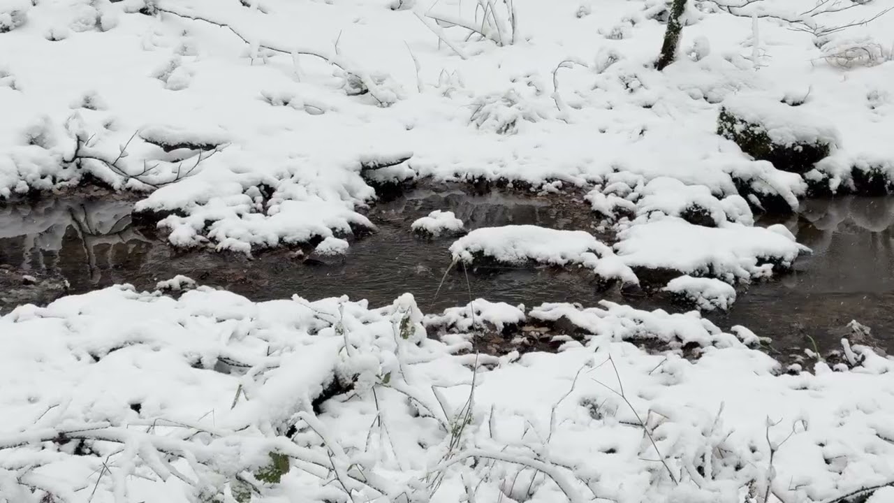 Schnee    ...von Martin Seith-Böhm