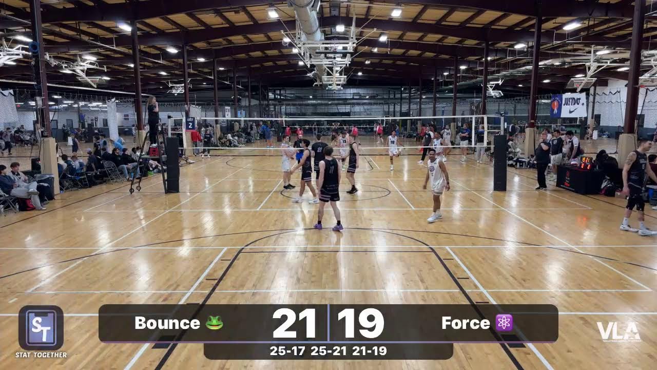 Bounce 🐸 vs Force ⚛️