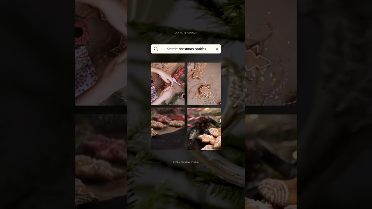 Canva Video Editing Tips for Holiday Designs | Find These Aesthetic Christmas Stock Videos