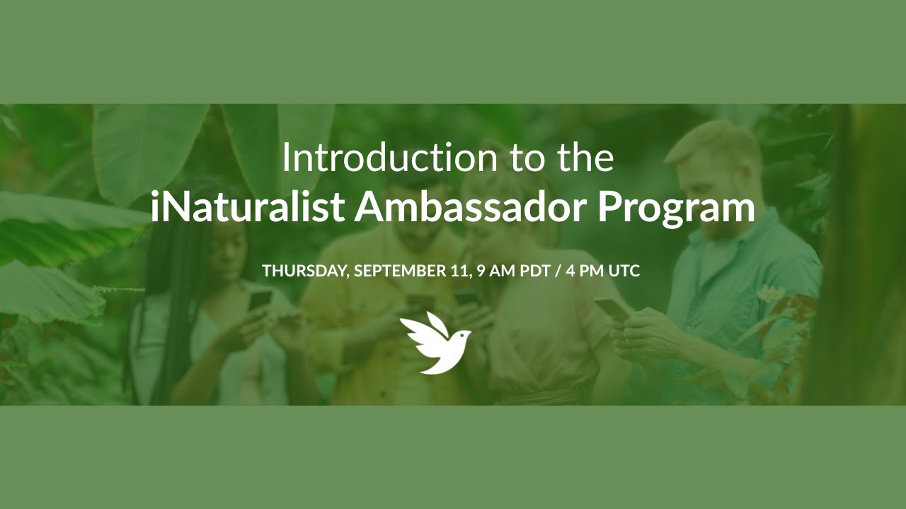 Introduction to the iNaturalist Ambassador Program (Webinar)