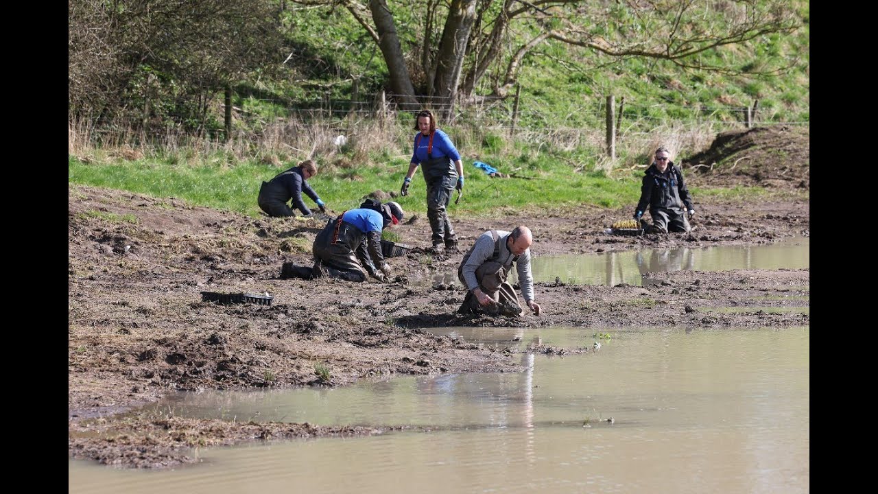 Water Stewardship Webinar