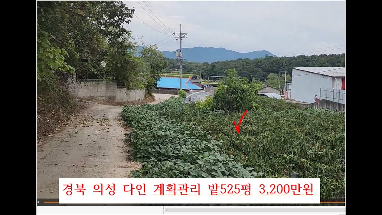 경북 의성 다인  마을 안 계획관리 525평