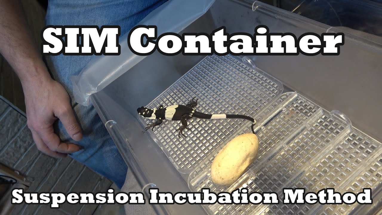 SIM Container Suspension Incubation Method
