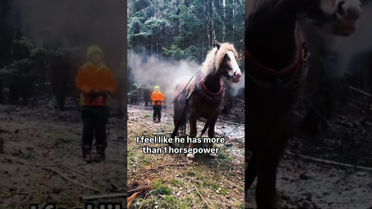 🤯 Must watch 🤯You will shocked🤯 by this HORSE BREATH   #horsepower #hp #v8  #truck  #viralvideo #yt
