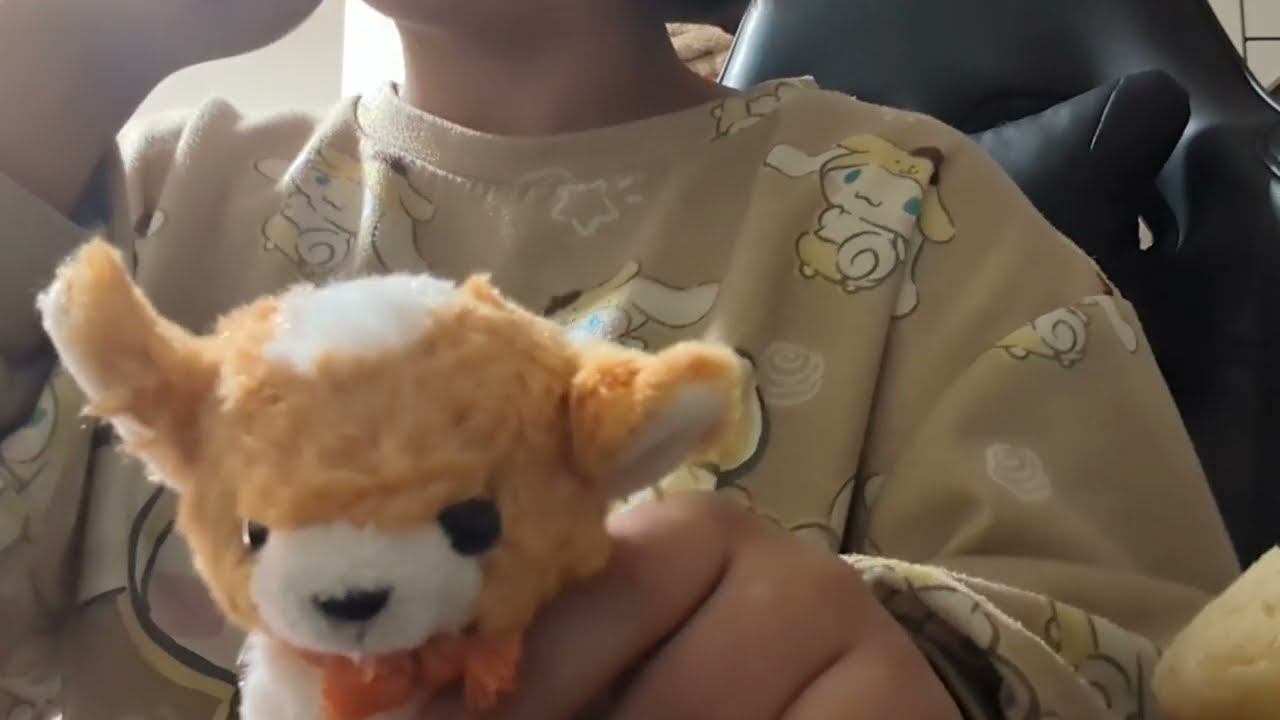 カビそうなマッピ (ASMRではない🐘)