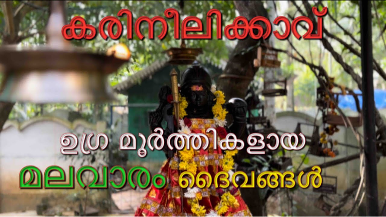 കരിനീലിക്കാവ് മലവാരം ദൈവ സന്നിധി #kerala #treditional #temple #thrissur #kozhikk