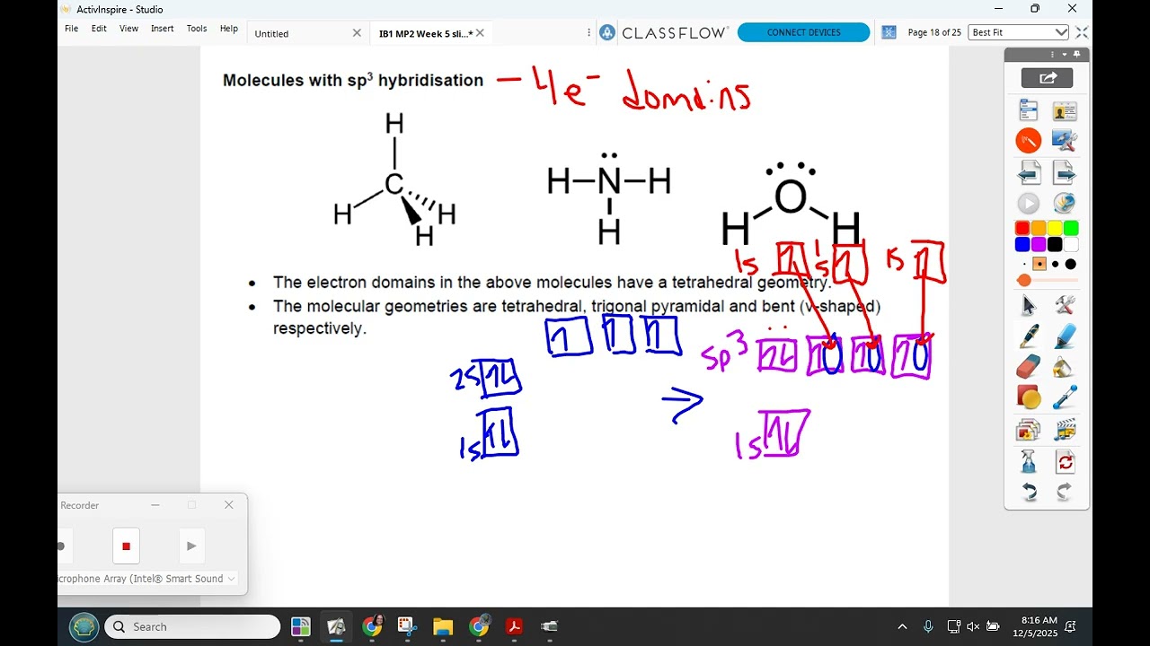 IB1 12/5 S2.2HL hybrid orbitals