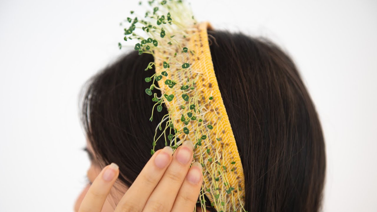 LivingLoom: Investigating Human-Plant Symbiosis Through Integrating Living Plants Into (E-)Textiles