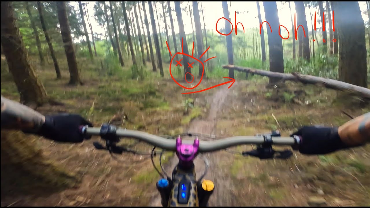 april 2025 redlands mtb surrey hills