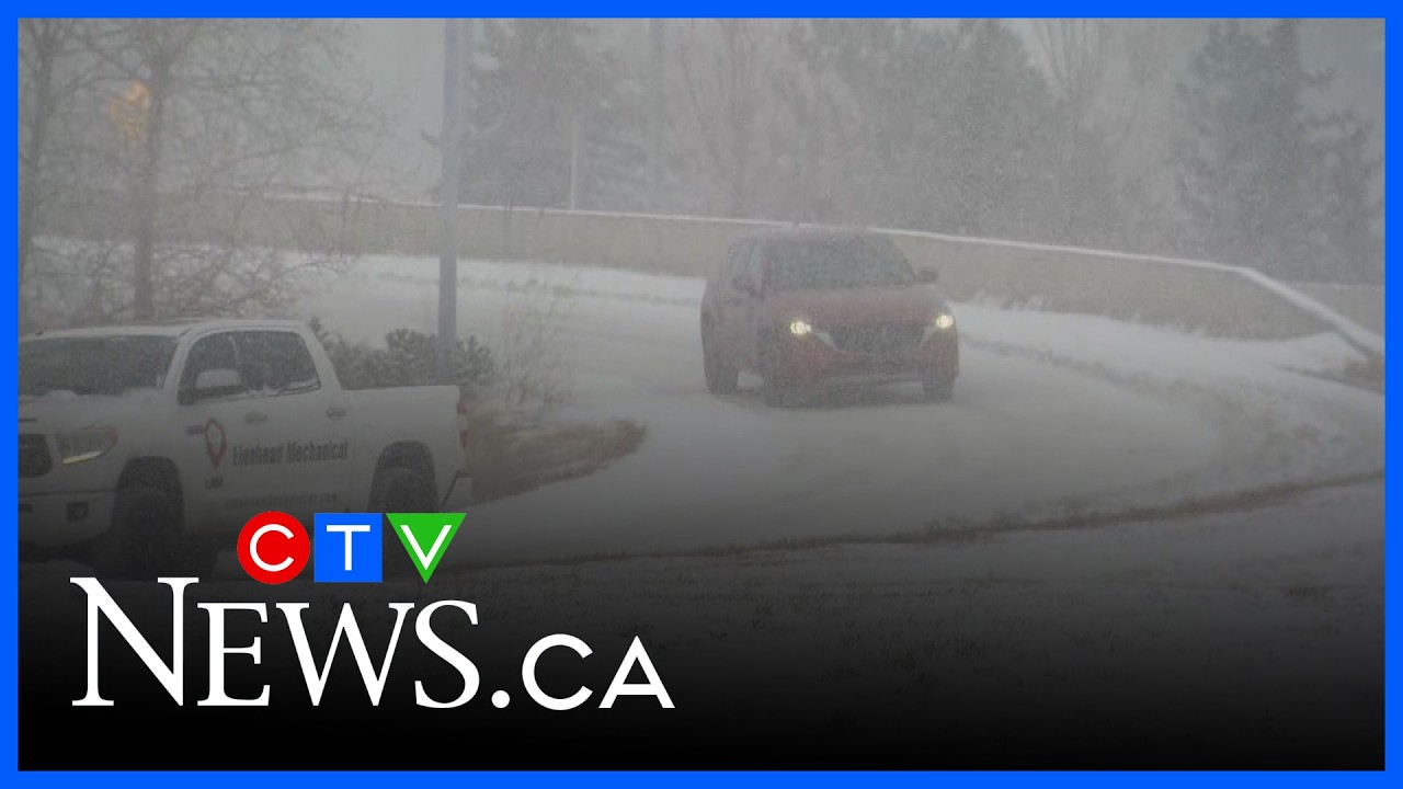 Calgary's return to snow | CTV News Calgary Noon Update for Feb. 17, 2026