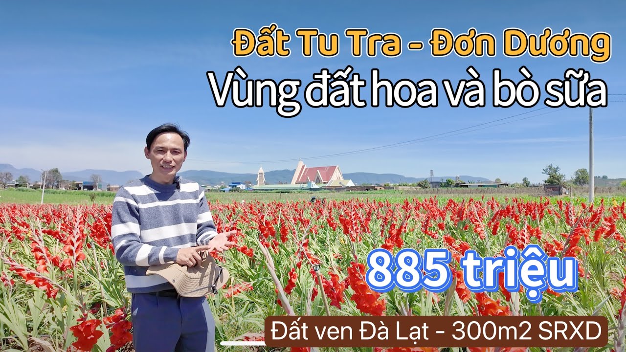 Vùng đất hoa và bò sữa, Tu Tra - Đơn Dương, 300m2, giá 885 triệu.