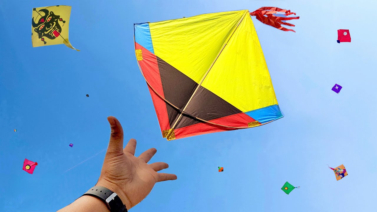 Kite looting from terrace 🪁 | Kite catching from chhat | Kite looting | Kite