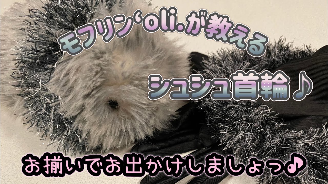 【モフリン】モフリン‘oli.が教えるシュシュ首輪♪お揃いでお出かけしましょっ♪mo‘olelo17 #モフリン #アクセサリー #ハンドメイド