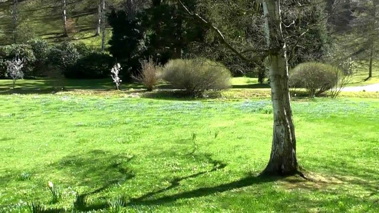 KURPARK - Bad Wildungen.