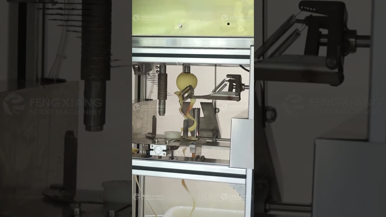 All-in-one functionality Apple Ring Slicing Peeling Machine
