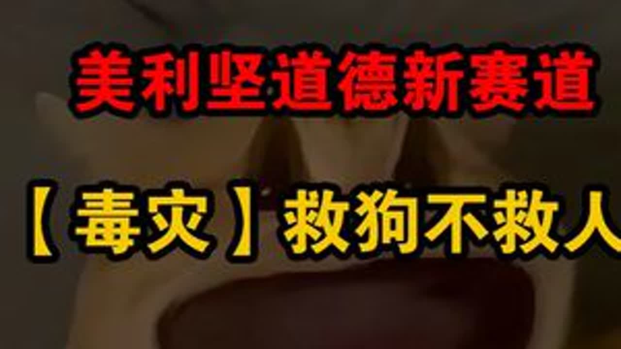 【毒灾】救狗不救人，美利坚人道主义表演赛2.0