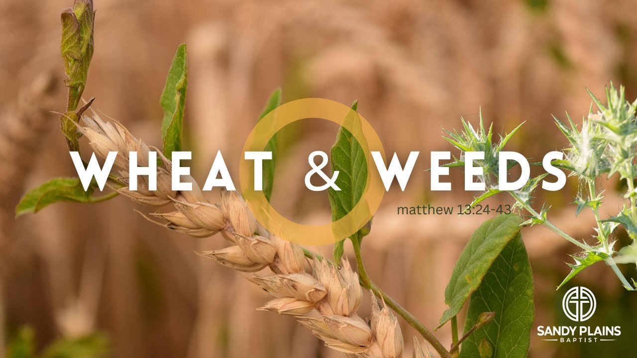 Jesus and His Parables - Pt. 4