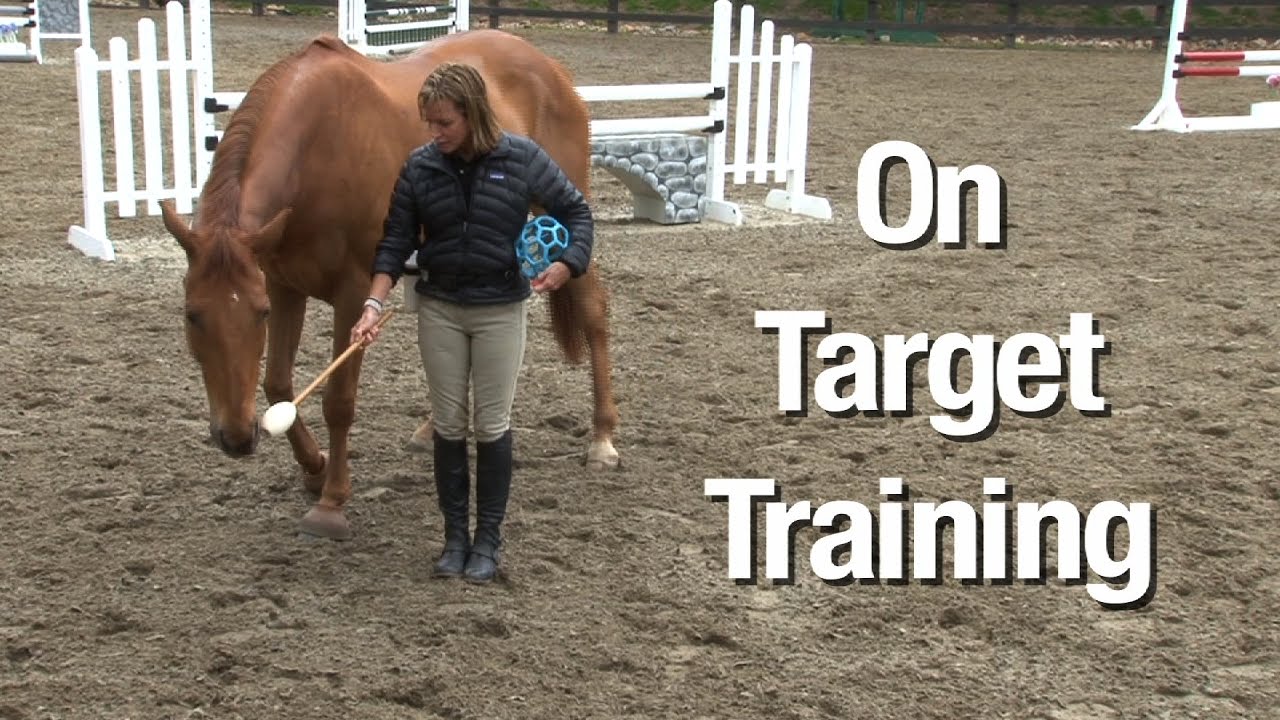 The clicker and target - positive reinforcement at its best