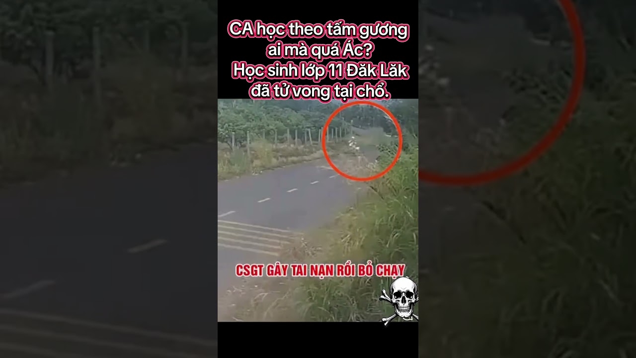 Nh&igrave;n giống như đ&atilde; t&aacute;c động thế n&agrave;o đ&oacute; n&ecirc;n em hs 11 đ&atilde; mất l&aacute;i? Hỏi sao d&acirc;n VN rất gh&eacute;t. Sao k cứu e?