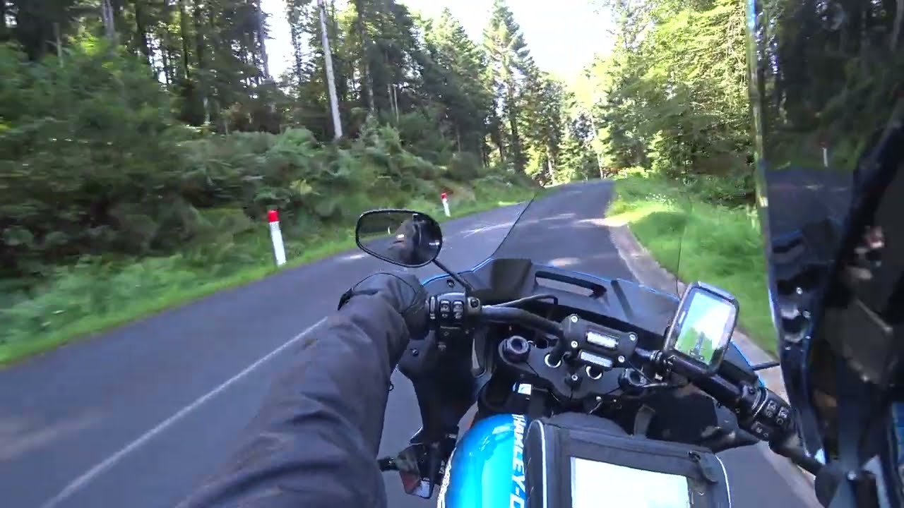 Balade en Low Rider ST avec le frangin: Col du Donon-Col de la Chapelotte-Pierre Percée-Col du Hanz