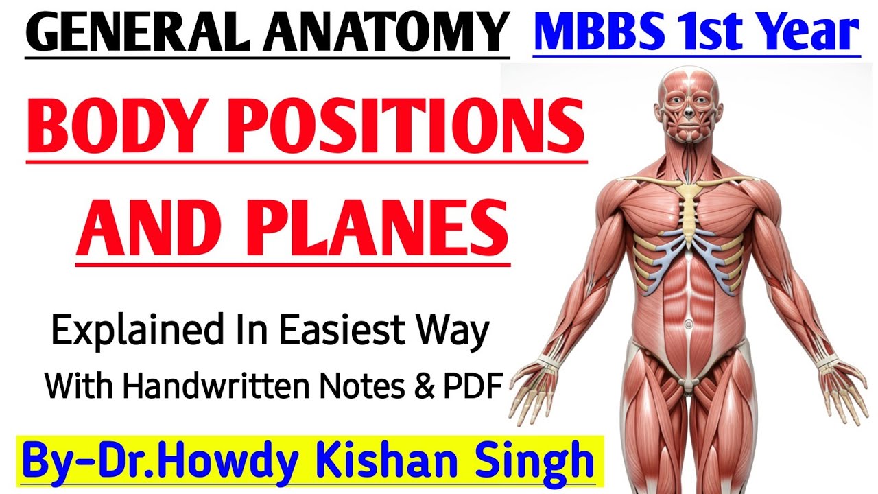 Body Positions & Anatomical Planes | General Anatomy Made Easy | MBBS 1st Year