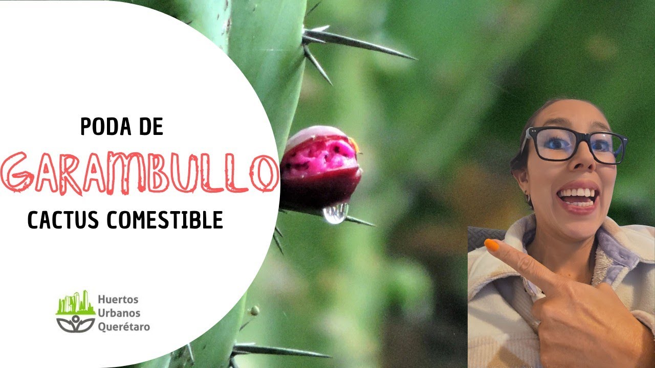 PODA de GARAMBULLO 🌵