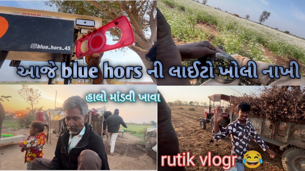 આજે તો blue hors ની લાઈટો ખોલી નખી #trending #vlog #dailyvlog #farming 