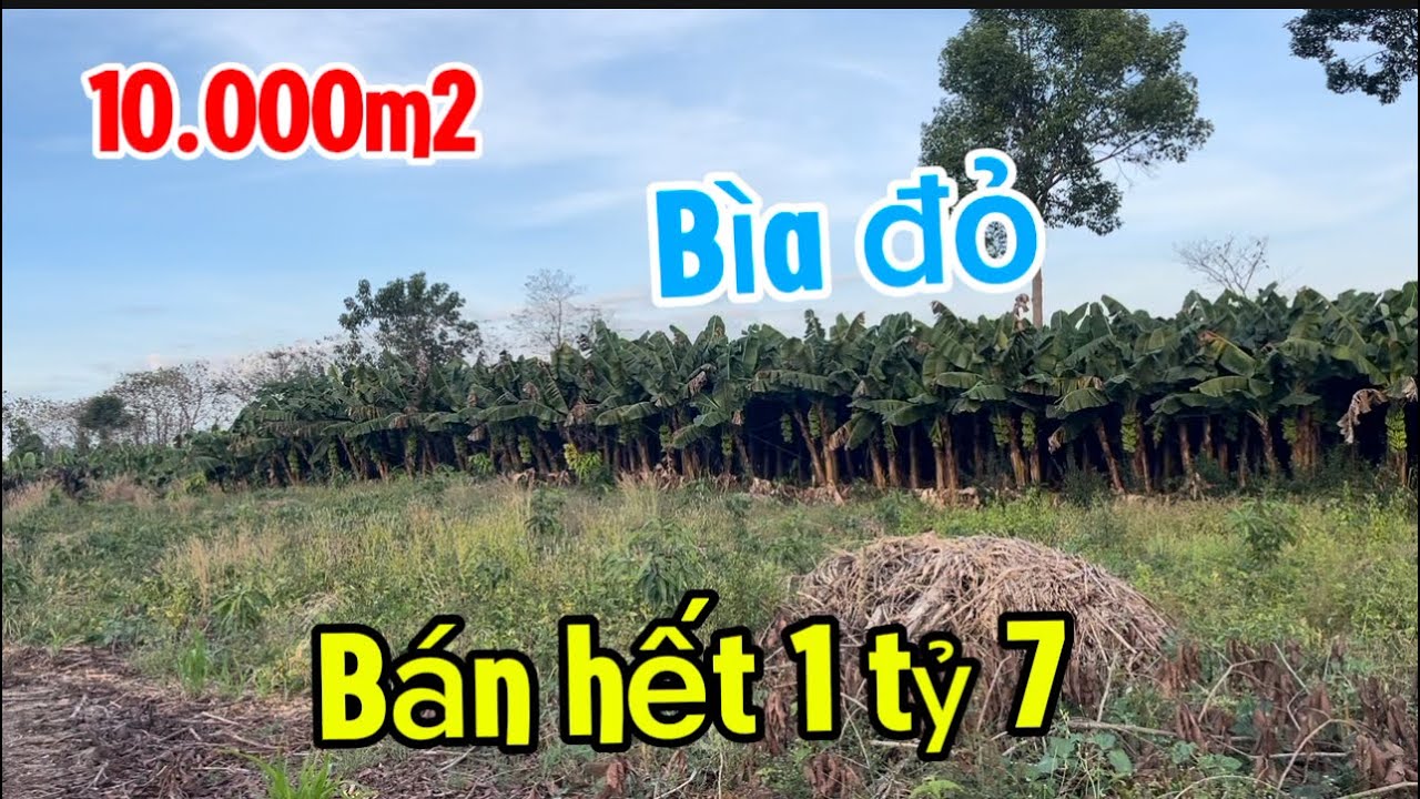 Cần bán 1 héc đất nông nghiệp giá rẻ tại đồng Nai đất màu mở vừa ở vừa trồng cây 