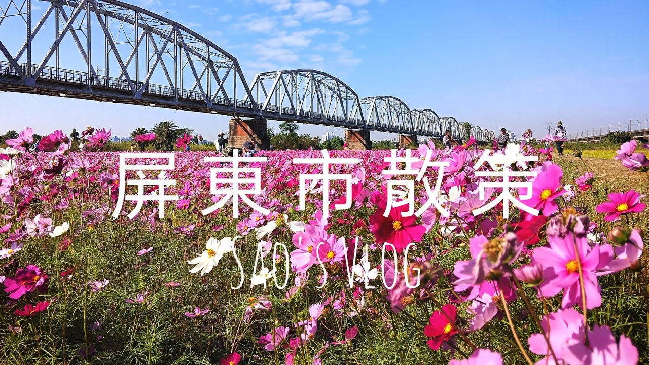 Sao's Vlog（屏東市散策），建豐路幸屏洋食、民生路本質咖啡、屏東市中央市場、林森路煎恰恰、下淡水溪舊鐵橋波斯菊花海。#屏東市 