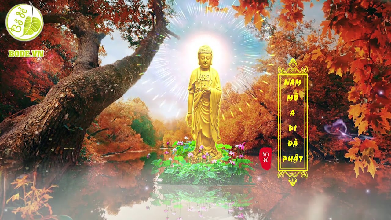 Nhạc Niệm Phật mới | Nam Mô A Di Đà Phật Thanh Thản Bình An Giấc Ngủ An Lành Âm thanh chất lượng cao