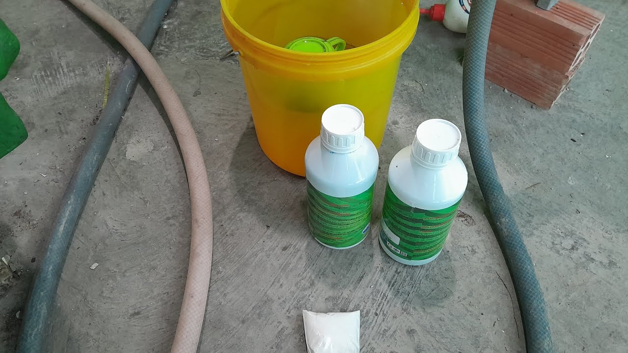 Quá tuyệt vời hai thứ thuốc này dành cho lươn nhé anh em ,An Giang:0986559734