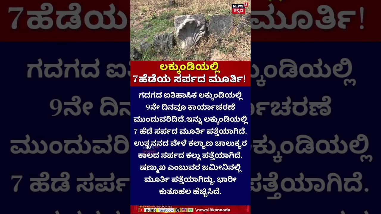 7-Hooded Serpent Idol Found | 7 ಹೆಡೆಯ ಸರ್ಪದ ಮೂರ್ತಿ ಪತ್ತೆ | Lakkundi | Gadag
