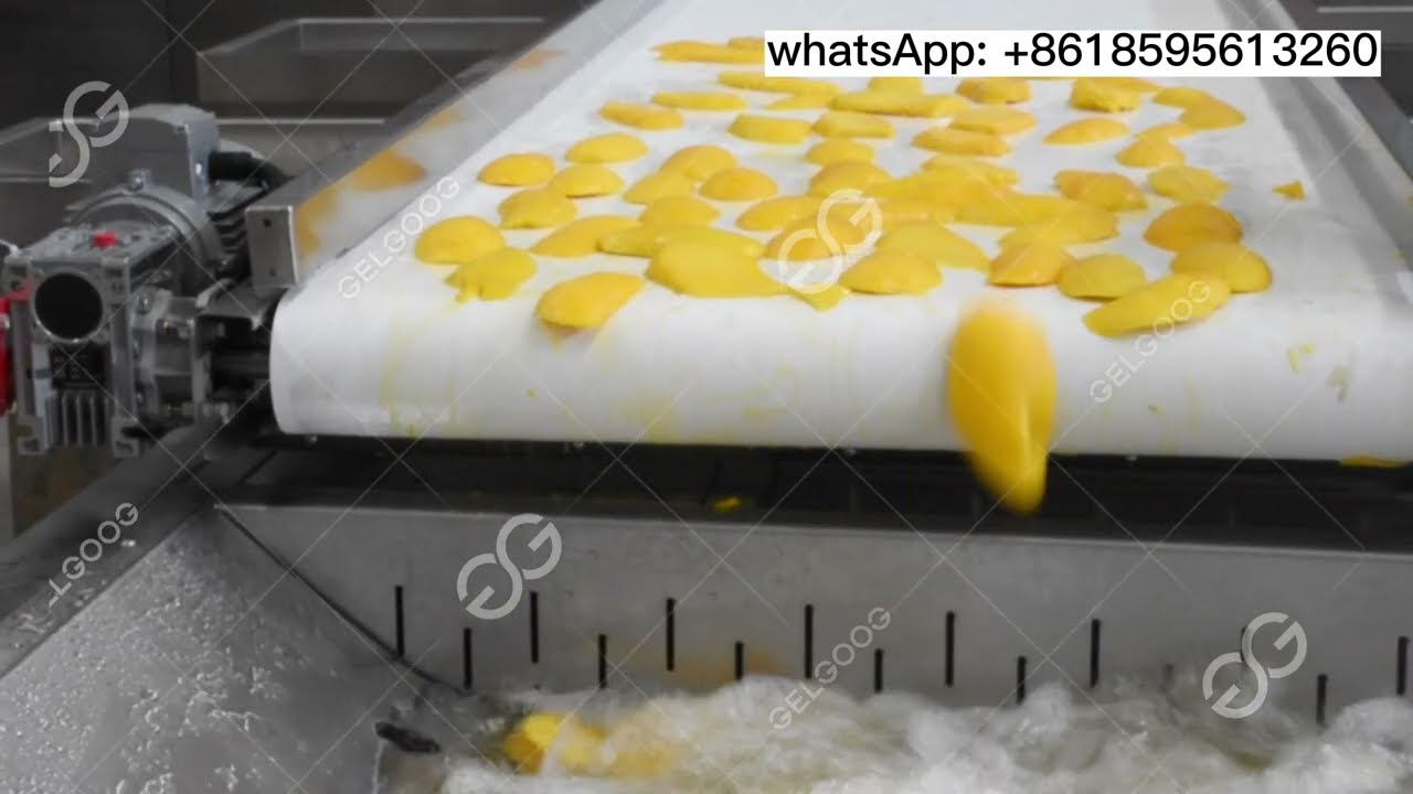 Dried Mango Production Process In Plant