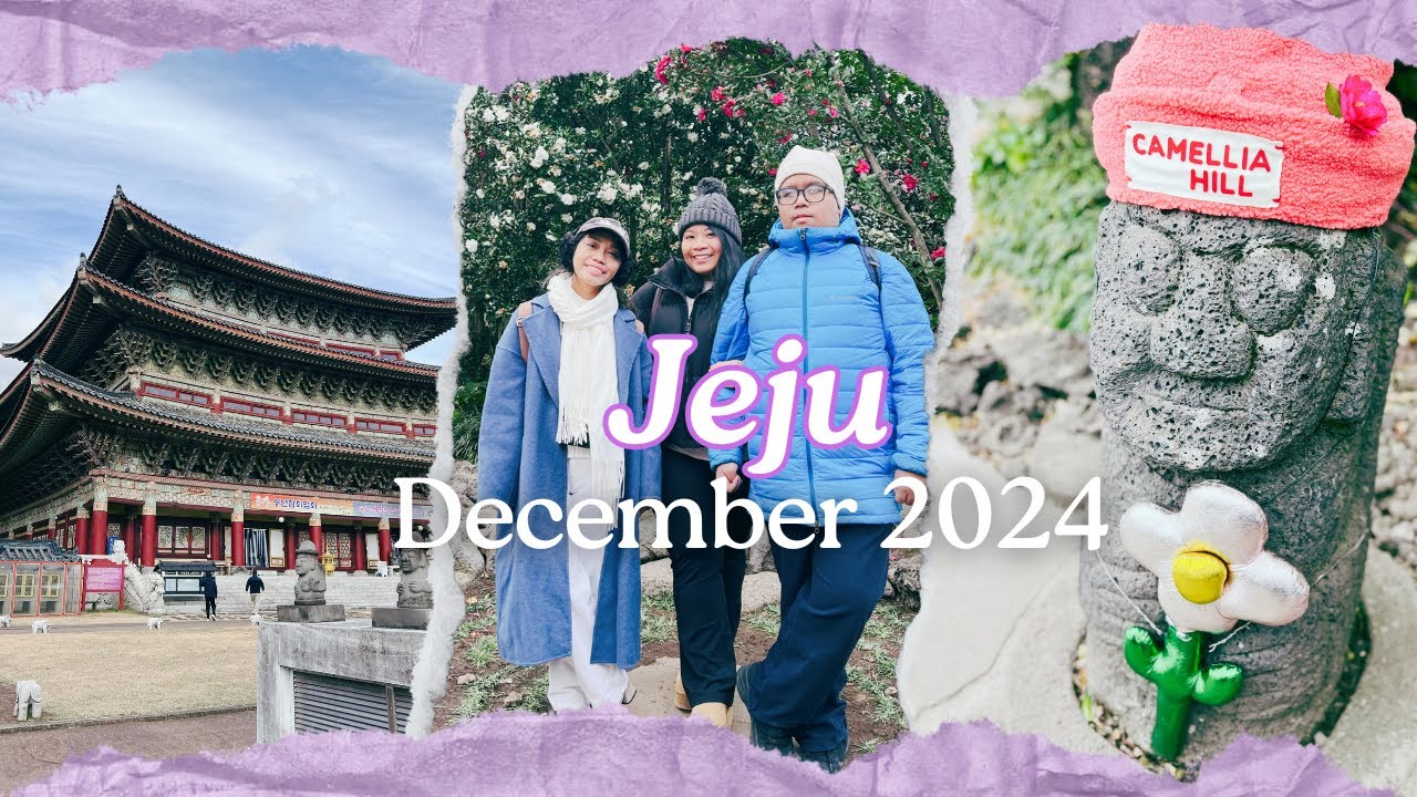 🇰🇷 Jeju | December 2024 | Osulloc Tea Museum, Jeongbang Waterfall, Yakcheonsa Temple, Camellia Hill